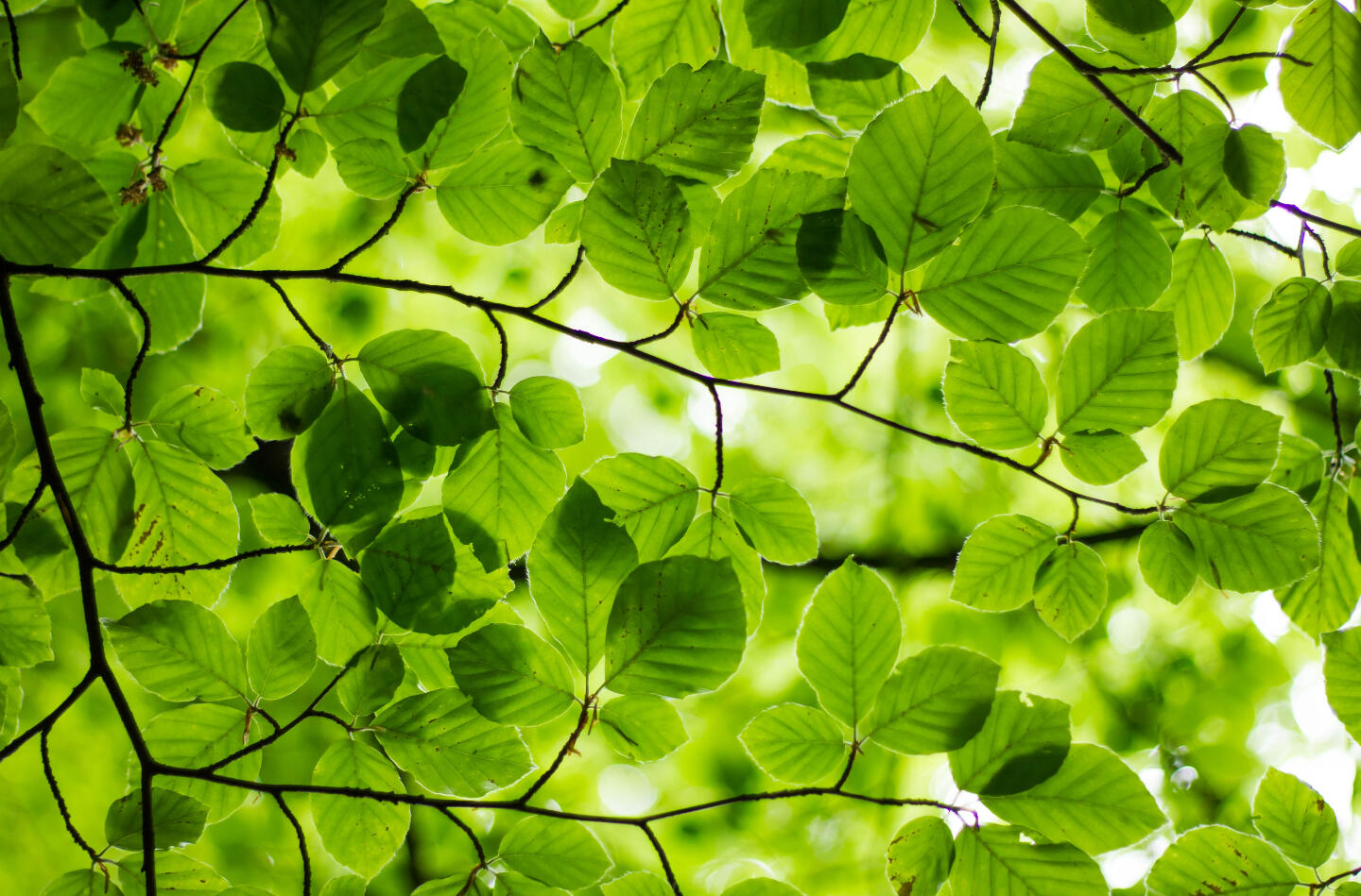 Photo by Ash from Modern Afflatus on Unsplash